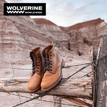 Wolverine